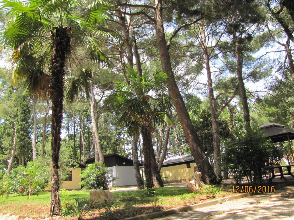Holiday Park Mimoza Bašanija Exterior foto