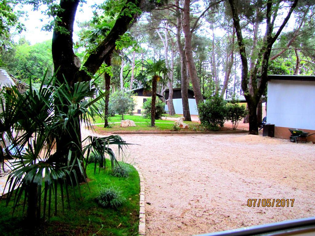 Holiday Park Mimoza Bašanija Exterior foto